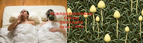 PSILOCYBIN Бронницы