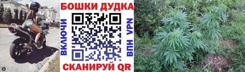 как найти наркотики  Верхняя Салда  Бошки Шишки Bruce Banner 